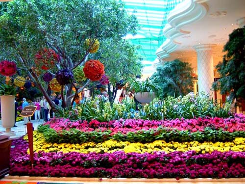 Image Hosted by ImageShack.us