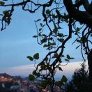Sunset over Landour Photo - Mussoorie, India 