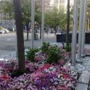 Our Great stay at the Beautiful Wall Centre