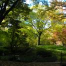 An Outdoor Retreat in the Middle of the City