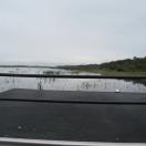 View From Boggy Creek airboats-front Seat! Photo - Kissimmee, Florida 