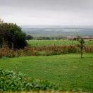 Rolling Hills