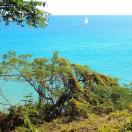 Island Paradise