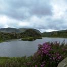 Traveler Photo of the Day