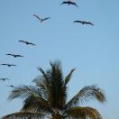 Out my window Photo - Puerto Vallarta, Mexico 