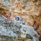 Traveler Photo of the Day