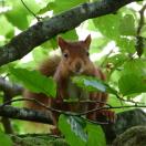 Traveler Photo of the Day