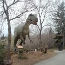 Lions, gorillas and dinosaurs