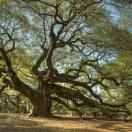 Traveler Photo of the Day