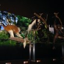 Our Favorite After-Hour Museums Photo