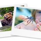 Send Us Your Nominations for the 2007 U GO! Awards Photo