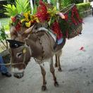 IgoUgo's Week in Travel: Newcomers Carry the Load Photo