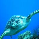 A Great Week for Nature Photography Photo