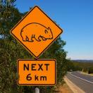 Caution: Fun Australia Trips Ahead Photo