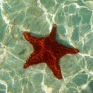 Beaching It: MattF, 98Hokies, cocopud & More Photo