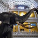 BawBaw Spreads the Love for DC's Free Museums Photo