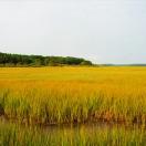 6 Columbus Day Trips Recommended by IgoUgo Members Photo