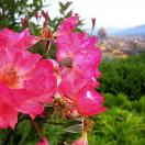 Week's Best Travel Photos: Cities, Safaris & More Photo