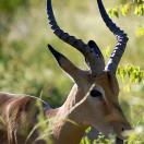 What Not to Miss in South Africa's 9 Soccer Cities Photo