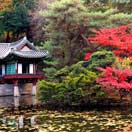 As the Leaves Turn Photo