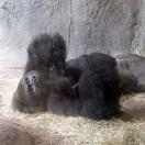 Strange and Unique  Summer Festivals Photo