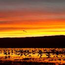 5 Questions for BawBaw Photo