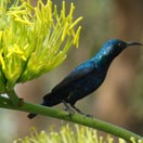 Traveler of the Week: A Garden Grows in Delhi Photo