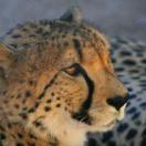 IgoUgo's Week in Travel: Your Favorite Spots Photo