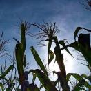 Not Your Typical Fall Foliage Activities Photo