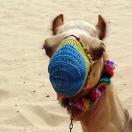 IgoUgo's Week in Travel: Let the Good Times Roll Photo