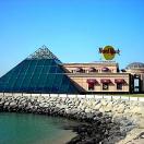 World Restaurant Chains You'll Actually Like Photo