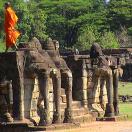 5 Questions for SeenThat Photo