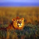 IgoUgo's Week in Travel: Pride of Place Photo