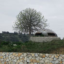 Albania, Top Destination for 2011? Photo