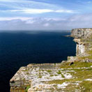 The Wearing of the Green in Savannah Photo