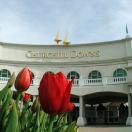 IgoUgo's Week in Travel: Fast Times Down South Photo