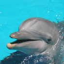 The Best of Cancun Photo