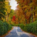 Can't Miss Fall Foliage Drives - Go Now! Photo