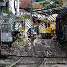 Photos of the Week: A Dab of Color Photo