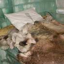 Cold Comfort: The World’s Best Ice Hotels Photo