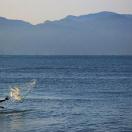 Minimizing Your Footprint, One Step at a Time Photo