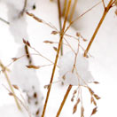 Wind and Waves: Montauk in Winter Photo