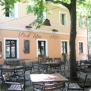 Photos of the Week: Function is Form Photo