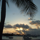 Keep Bringing Back the Summer Photo