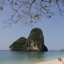 Photos of the Week: Beachcombers Photo