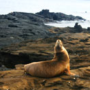 Photos of the Week: Head in the Clouds Photo