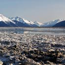 Traveler of the Week Tackles the Iditarod Photo