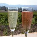 America’s Top Wine Regions Photo