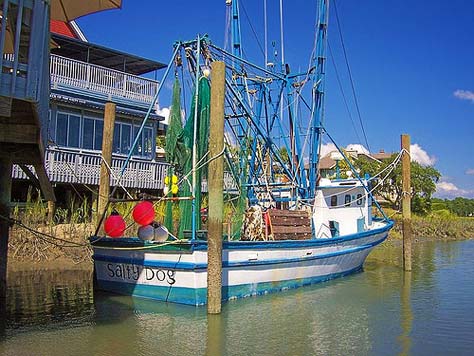 A Lowcountry Crab Quest with weeblewobble46 Photo