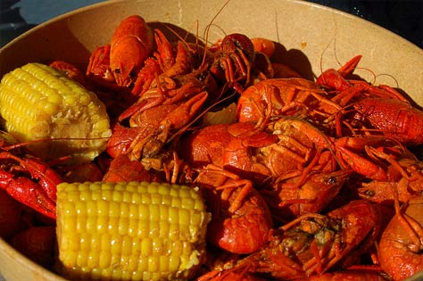 Amber Autumn: Chalmette, LA, Is Crazy for Crawfish Photo